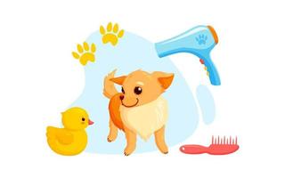 toilettage canin avec séchoir, peignes et canards en caoutchouc. chiot chihuahua ludique en service de toilettage. illustration vectorielle vecteur