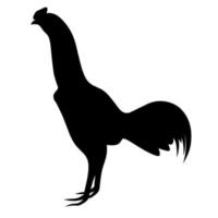 silhouette d'un coq combattant sur un fond blanc. idéal pour les logos et les affiches sur la volaille. vecteur