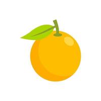 conception de vecteur d'illustration dessinés à la main de fruits orange. fruits orange isolés sur fond blanc.