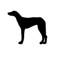 lévrier. silhouette noire d'un chien sur fond blanc. illustration vectorielle vecteur