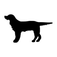 setter anglais. silhouette noire d'un chien sur fond blanc. illustration vectorielle vecteur
