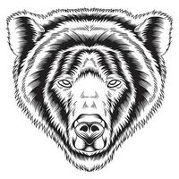 visage d'ours en colère illustration vectorielle noir et blanc vecteur