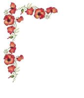 coquelicots rouges illustration d'aquarelle vecteur