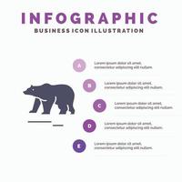 animal ours polaire canada icône solide infographie 5 étapes présentation arrière-plan vecteur