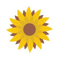 illustration de tournesol belle et naturelle vecteur