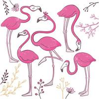 ensemble de flamants roses drôles dessinés à la main. vecteur