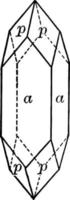 illustration vintage d'apophyllite. vecteur