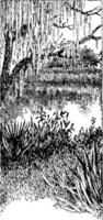 illustration vintage de la rivière saint john vecteur