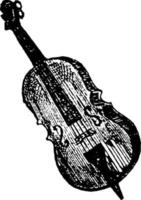 violon basse, illustration vintage. vecteur