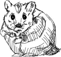 dessin de hamster, illustration, vecteur sur fond blanc.