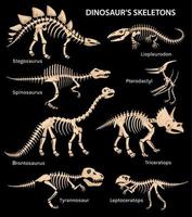 ensemble noir de squelettes de dinosaures vecteur