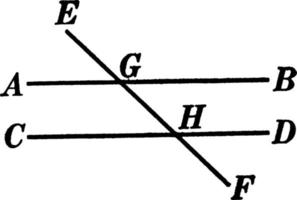 2 lignes coupées par une illustration vintage transversale. vecteur