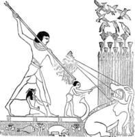 illustration vintage de chasse égyptienne. vecteur