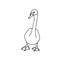 illustration vectorielle de cygne ou d'oie sur fond blanc. dessin au trait de contour. vecteur