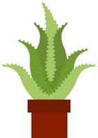 Aloe cactus en pot, illustration, vecteur sur fond blanc.