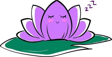 Lotus violet, illustration, vecteur sur fond blanc.