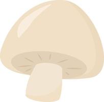 champignon blanc, illustration, vecteur sur fond blanc.