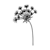 jolie fleur de pissenlit dessinée à la main dans un style doodle. pissenlit sur fond blanc. illustration vectorielle vecteur