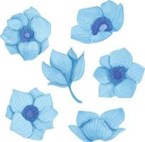 ensemble de fleur aquarelle, clipart flore bleue vecteur