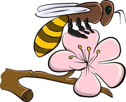 Abeille sur fleur , illustration, vecteur sur fond blanc