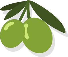 olives vertes, illustration, vecteur sur fond blanc
