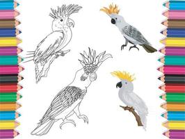 coloriages d'oiseaux vecteur