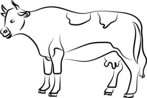 croquis côté vache, illustration, vecteur sur fond blanc.