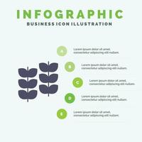 feuille de plante croissance des plantes icône solide infographie 5 étapes fond de présentation vecteur