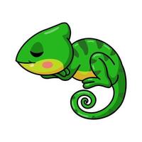 mignon petit dessin animé caméléon endormi vecteur