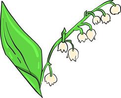 muguet , illustration, vecteur sur fond blanc