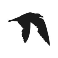 silhouette de mouettes volantes. illustration dessinée à la main convertie en vecteur. vecteur