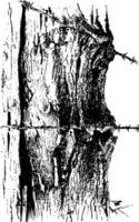 poteau de clôture, coupant dans une illustration vintage d'arbre. vecteur