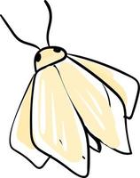 papillon dessin, illustration, vecteur sur fond blanc.