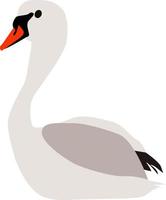 cygne blanc, illustration, vecteur sur fond blanc.