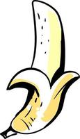 croquis de banane, illustration, vecteur sur fond blanc.