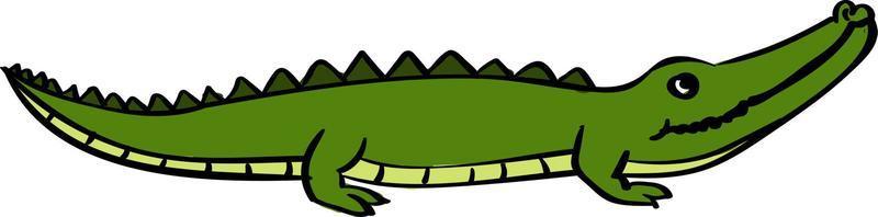 crocodile, illustration, vecteur sur fond blanc.