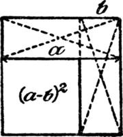 quadrature de l'illustration vintage binomiale. vecteur