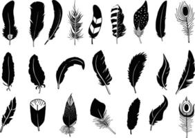 silhouettes noires de plumes d'oiseaux. collection de plumes. vecteur isolé sur blanc