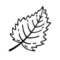 icône de vecteur de feuille d'arbre. illustration dessinée à la main isolée sur blanc. doodle botanique simple, contour noir. feuille d'un jardin ou d'une plante sauvage - bouleau, tremble, peuplier. clipart pour cartes, affiches, cosmétiques