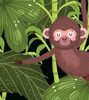 singe mignon suspendu jungle feuilles animal safari dessin animé vecteur