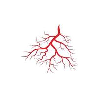 illustration des veines et des artères humaines vecteur