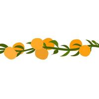 branche de vecteur de vignes mandarines sur fond blanc. les oranges mûres fraîches sont jaunes avec des pétioles verts. idéal pour les logos de jus de fruits, les affiches, les logos Web.