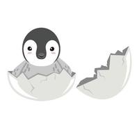 pingouin mignon en dessin animé de vecteur d'oeuf