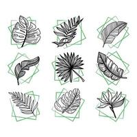 ensemble d'éléments tropicaux feuilles de monstres tropicaux, feuilles de bananier, etc. éléments de style doodle dessinés à la main. verts vifs dans des carrés abstraits. tropiques. été vecteur