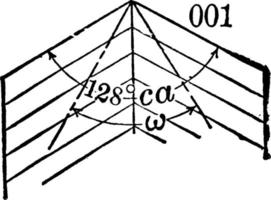 plagioclase jumeau, illustration vintage. vecteur