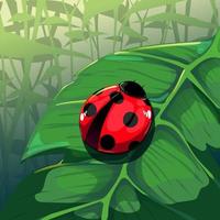 coccinelle sur illustration vectorielle feuille verte vecteur