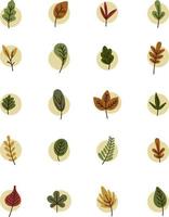 feuilles d'automne, illustration, sur fond blanc. vecteur