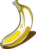 petite banane, illustration, vecteur sur fond blanc.