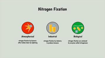méthode de fixation de l'azote par les industriels, chimiques, biologiques. Taille 4k pour vidéo ou présentation vecteur