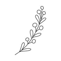 branche minimaliste dessinée à la main avec des feuilles et des baies. illutration vectorielle de contour de ligne de contour noir dans un style de doodle minimal. clipart floral de vacances d'hiver, verdure vecteur